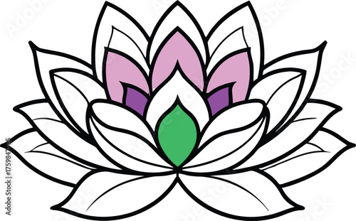 Lotus Flower With Purple Pink Green Petals On White