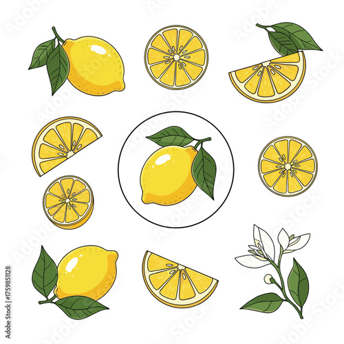 A delightful collection of vibrant lemons and their refreshing slices showcasing their natural beauty and essence.