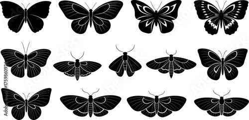 Set of black vector butterflies and moths illustration. Beautiful flying insects silhouettes, collection of different butterfly and moth shapes