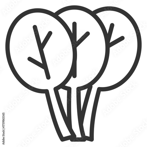 Spinach icon