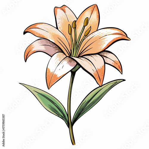 Military Boot with Remembrance Poppy Flower - Symbol of War, Peace, Veterans