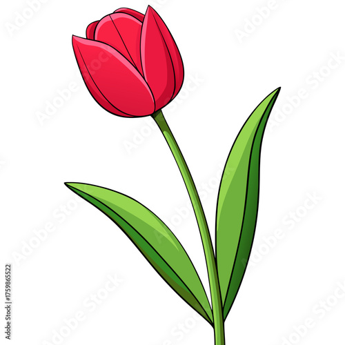 Military Boot with Remembrance Poppy Flower - Symbol of War, Peace, Veterans