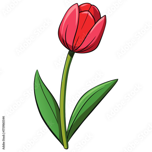 Military Boot with Remembrance Poppy Flower - Symbol of War, Peace, Veterans