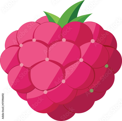 Vector art of a vibrant pink raspberry, composed of many small drupelets, with green leaves at the top