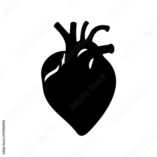 Monochrome anatomical human heart vector illustration for medical use case