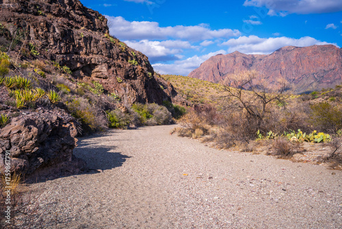 Foto hiking in the beautiful nature of big bend national park in texas in the usa