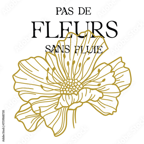 Elegant floral line art with French quote pas de fleurs sans pluie for stylish t-shirt design