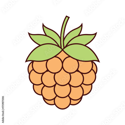 Golden Cloudberry Fruit Vector Illustration - Yellow Berry Icon