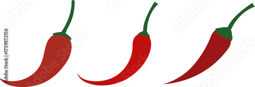 Red chili pepper pods illustration