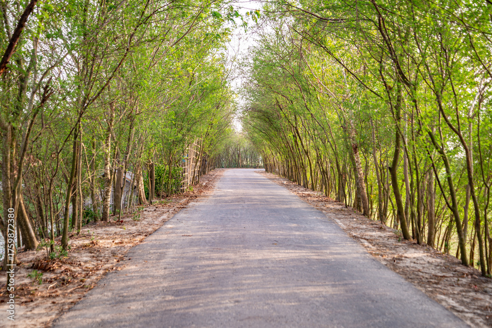 Naklejka premium Tree