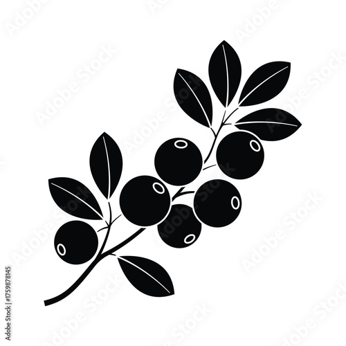 Cranberry Branch Silhouette - Vector Icon Stencil Graphic