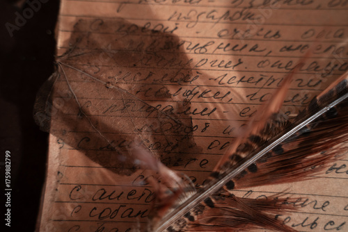 Skeletonized leaves lie on the yellow pages of an old leather-bound notebook. A pheasant's feather. A gloomy witch's Halloween still life.