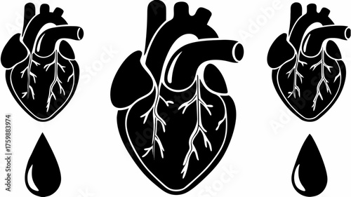 Anatomical heart icons symbolize health, cardiology, and medical research with graphic vector simplicity