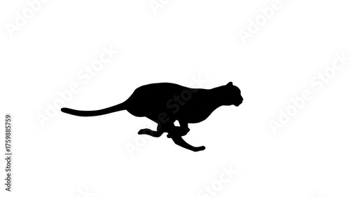 Animation with a cheetah running on the white background (seamless loop)
