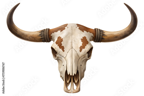 Front view of a cow or bull skull with brown markings and large curved horns, isolated on a transparent PNG background. Ideal for Western-themed designs, cowboy graphics, tattoo art, rustic decor mock