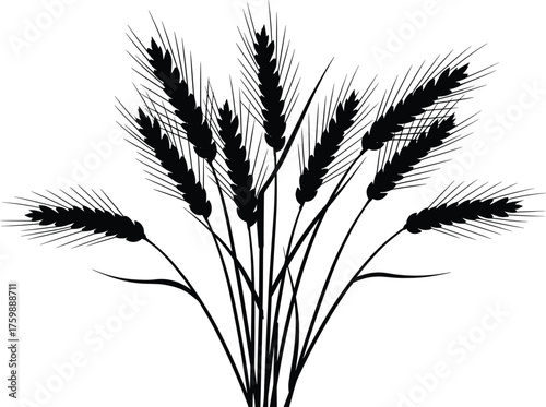 High Resolution Black Silhouette of Wheat Stalks Vector Illustration, Ideal for Agricultural Branding and Organic Food Designs, Offering Versatile Graphic Elements for Various Media Applications