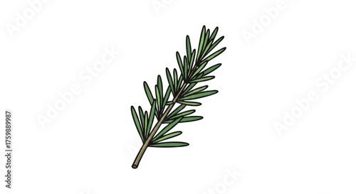 Rosemary sprig outline icon vector