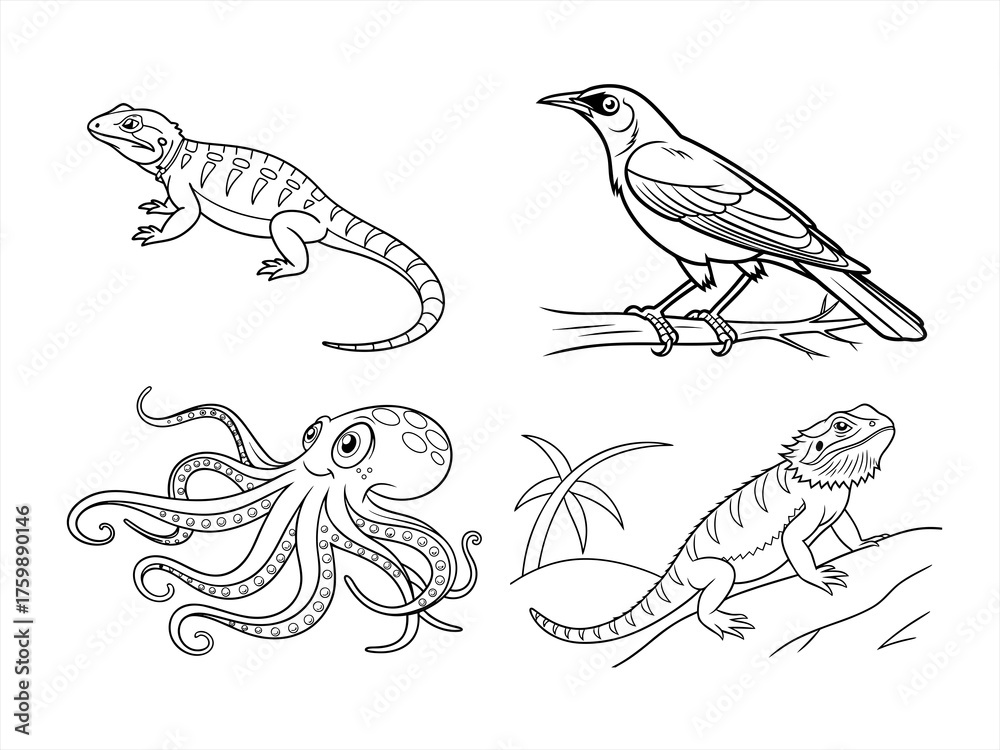 Fototapeta premium coloring page line art the animal black vector bundle