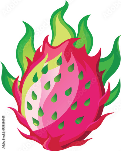 Vector art of vibrant dragon fruit with green leaves