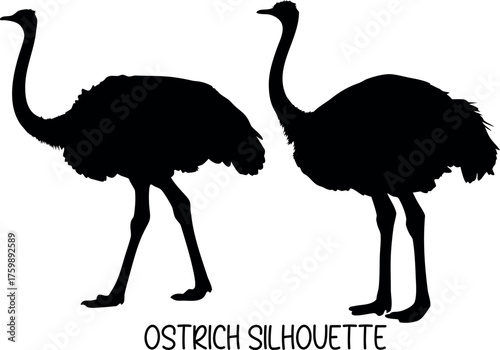 ostrich black silhouette vector, ostrich line art vector, ostrich black symbol