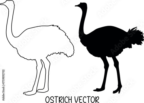 ostrich black silhouette vector, ostrich line art vector, ostrich black symbol