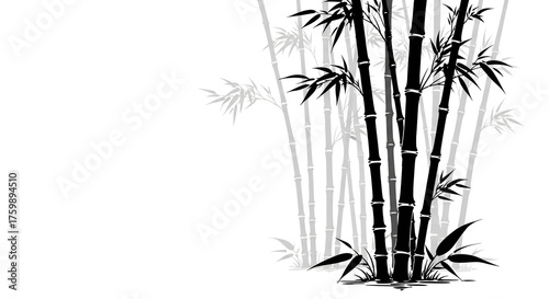 Stylized graphic art featuring a cluster of vibrant black bamboo plants against a serene white backdrop, embodying tranquility and sustainable botanical grace