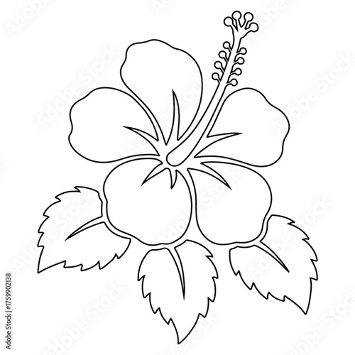 Hibiscus Line Art Icon – Stylized Botanical Flower with Petals, Stamen, and Leaves