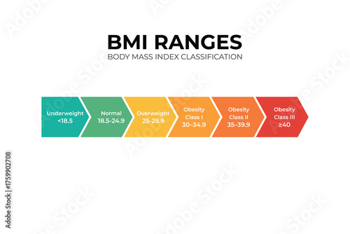 BMI Range Infographic Body Mass Index Chart