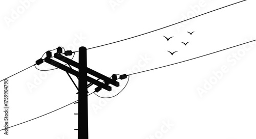 Utility pole silhouette, power lines, flying birds, black and white contrast, rural infrastructure, electric grid, nature balance, minimalist composition