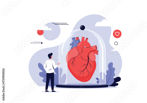 Understanding the human heart its vital functions and importance for life.