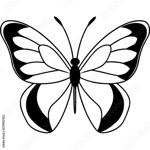 Black and white butterfly graphic silhouette isolated on white background