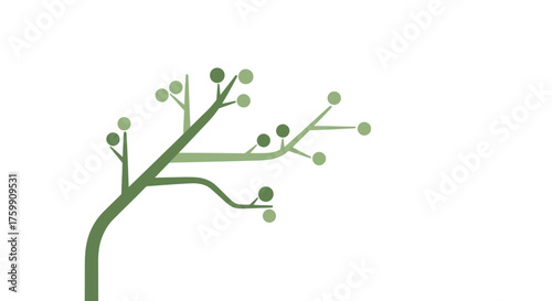 A Simplified, Abstract Representation Of Organic Growth And Natural Forms