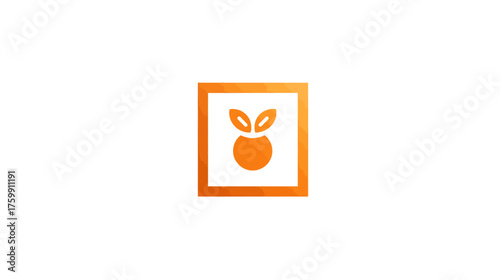 Vibrant orange stylized fruit or plant icon with leaves inside a square frame, representing organic, natural, fresh food, growth, and health.