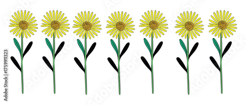 Yellow Daisy Flower Pattern Vector Illustration

Seamless Floral Design with Bright Yellow Flowers

Spring Bloom Pattern – Hand Drawn Yellow Daisies

Minimal Botanical Illustration with Green Stems an