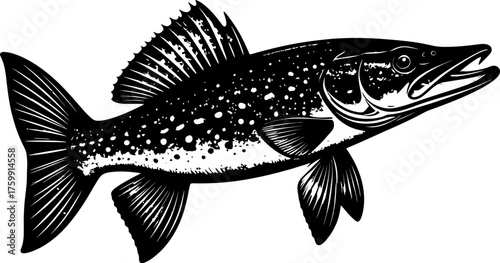 Freshly Caught Fish Swimming in Clear Water Perfect for Seafood and Fishing Themes