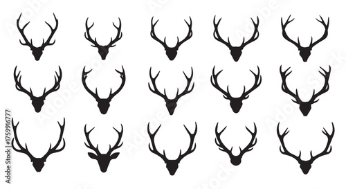 Collection of deer antlers isolated on transparent background