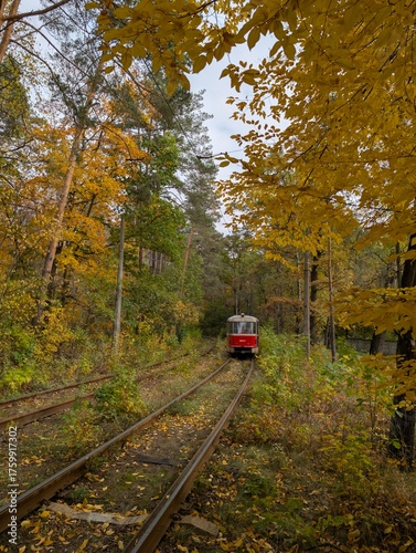 Vintage tram rides along railway through colourful fall forest.