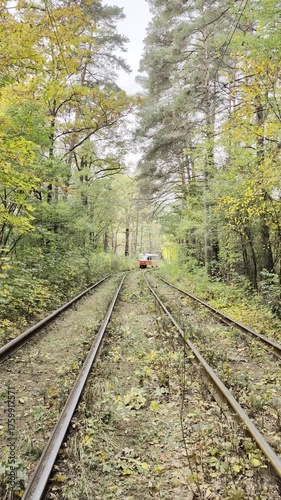 Vintage tram rides along railway through colourful fall forest.