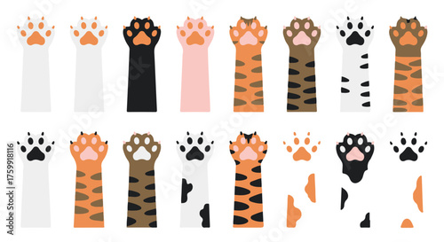 Collection of stylized cat paw prints in various colors and patterns, isolated on transparent background
