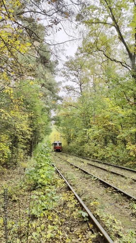 Vintage tram rides along railway through colourful fall forest.