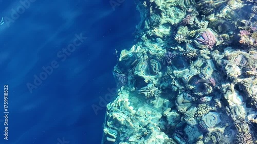 Tropical clear water with coral reef and colorful fish