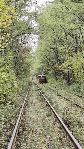 Vintage tram rides along railway through colourful fall forest.