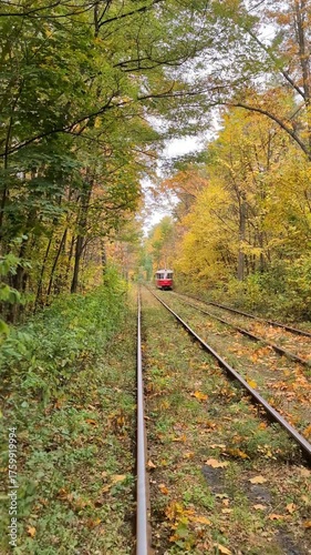 Vintage tram rides along railway through colourful fall forest.