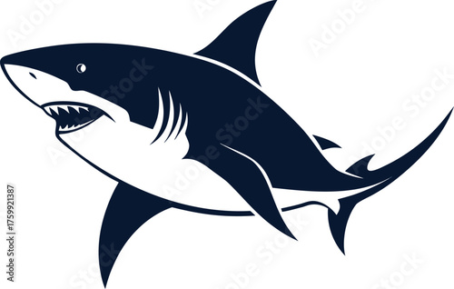 Isolated white shark vector cartoon illustration of a dangerous marine predator swimming underwater with a great fin