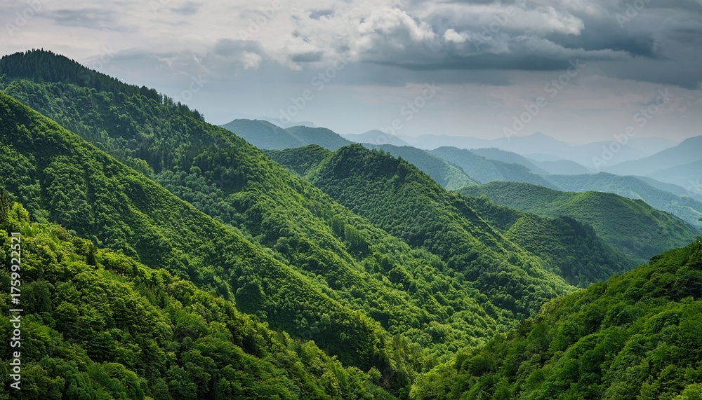 Naklejka premium Lush Green Mountains Covered In Dense Vegetation