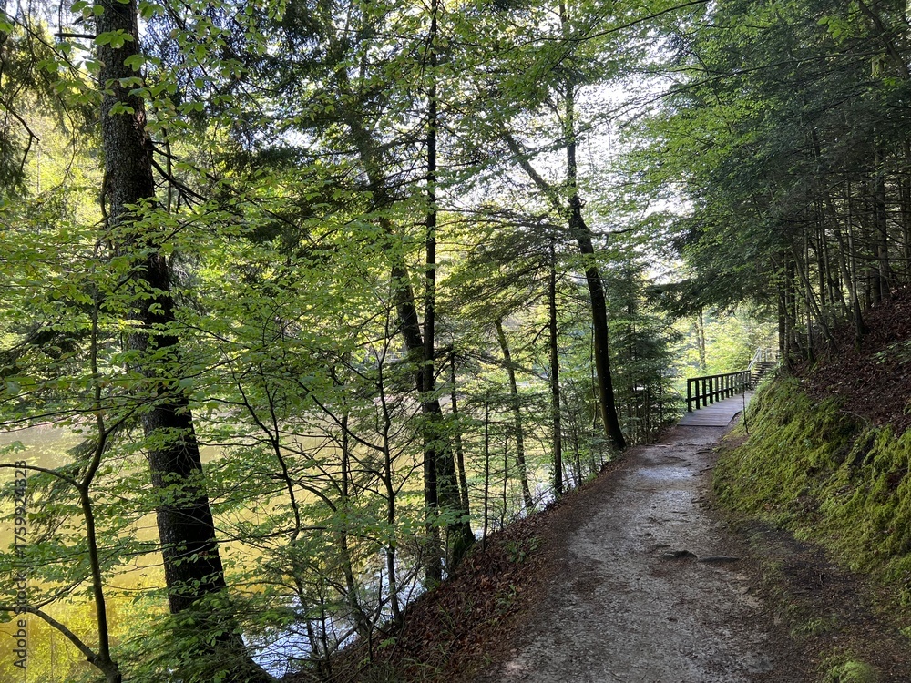 Obraz premium The educational pathway around the Lake Trakoscan 'Faerie Path' (Croatia) - Poučna staza 'Put Vila' ili staze za šetnju i rekreaciju oko Trakošćanskog jezera (Hrvatsko Zagorje, Hrvatska)