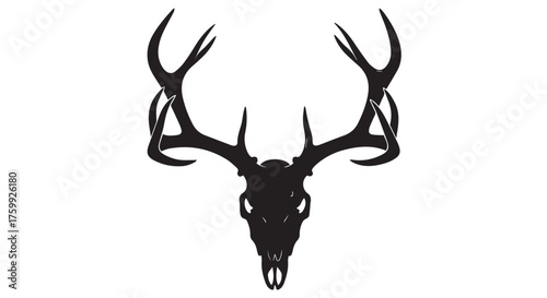 Silhouette of a deer skull with large antlers isolated on transparent background