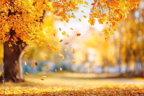 Autumn leaves falling from tree in sunlight