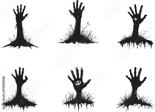 20240830 (407) [Converted]