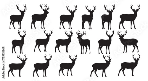 Silhouettes of multiple male deer with antlers isolated on transparent background